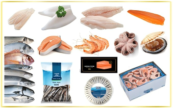 Sea Food, Project Fish, Whole Round Fish, Fishing Mainated Products