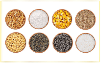 Organic Grain and Oil Seeds