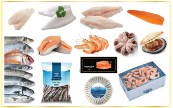 Sea Food, Project Fish, Whole Round Fish, Fishing Mainated Products