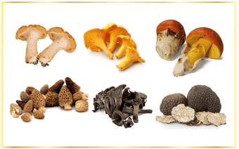 Dried Mushrooms